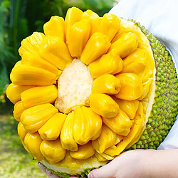 海南菠萝蜜 10-15斤