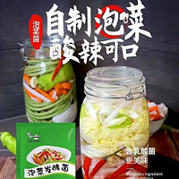 贝尓颂 Derenruyu泡菜酸菜乳酸菌发酵菌家用自制20包