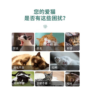 喜宝喜宝猫肠胃全价管理处方粮成猫幼猫软便呕吐胃肠炎改善肠道猫粮 猫肠胃全价处方粮1KG 1KG【每盒】