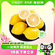  88VIP：喵满分 四川安岳黄柠檬5斤 单果80g+　