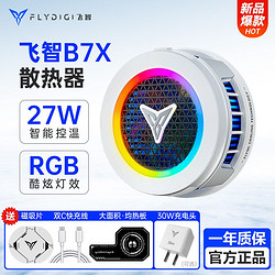 FLYDIGI 飞智 B6X 散热背夹