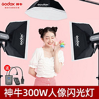 Godox 神牛 E300W摄影灯小型影室闪光灯补光灯柔光人像证件照静物拍摄影