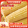 农科院甜糯玉米220g*8根