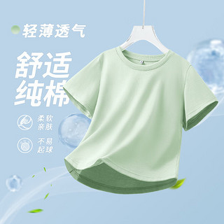 女士纯棉短袖T恤 JR-24-271146