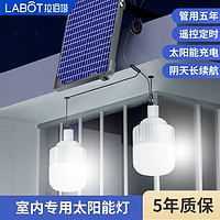 拉伯塔 2023新款太阳能户外庭院路灯家用充电室内照明一拖二分体式吊灯泡