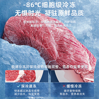 埃利斯（AILISI）超低温冰柜-40度商用科研生物实验室冷柜医用零下负40度疫苗保存箱家用卧式金枪鱼保鲜深冷速冻柜 -45度208L(-15至-45度可调）