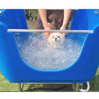 春舟宠物塑料浴缸泡泡浴盘 长三角以内的地址粉色