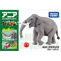 TAKARA TOMY 多美 TOMY多美安利亚野生动物模型仿真儿童认知男孩玩具亚洲大象981503
