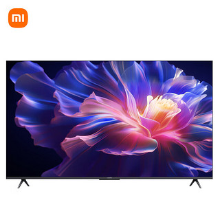 Xiaomi 小米 电视 S Pro 65英寸 Mini LED  4GB+64GB大存储 液晶电视 65英寸