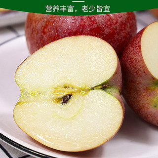 陕西洛川秦冠苹果 4.5kg装