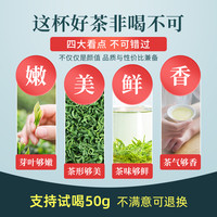 88VIP：茶马世家 绿茶2024新茶明前恩施硒茶高山云雾毛尖茶浓香自己喝500g