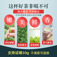 茶马世家 绿茶2024新茶明前恩施硒茶高山云雾毛尖茶浓香自己喝500g