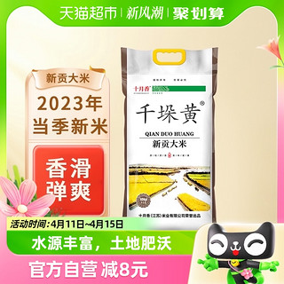88VIP：十月香 千垛黄新贡大米10Kg珍珠香米2022年新米苏北大米20斤含胚芽