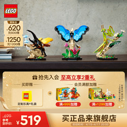 LEGO 乐高 积木 IDEAS 21342昆虫系列 新品男孩女孩新年礼物