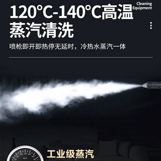 蓝导家电清洗设备家政油烟机空调热水器多功能一体高温高压蒸汽清洁机