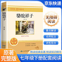 骆驼祥子 七年级下册必读名著 人教版初中语文教材配套课外名著阅读书目 原版无删减