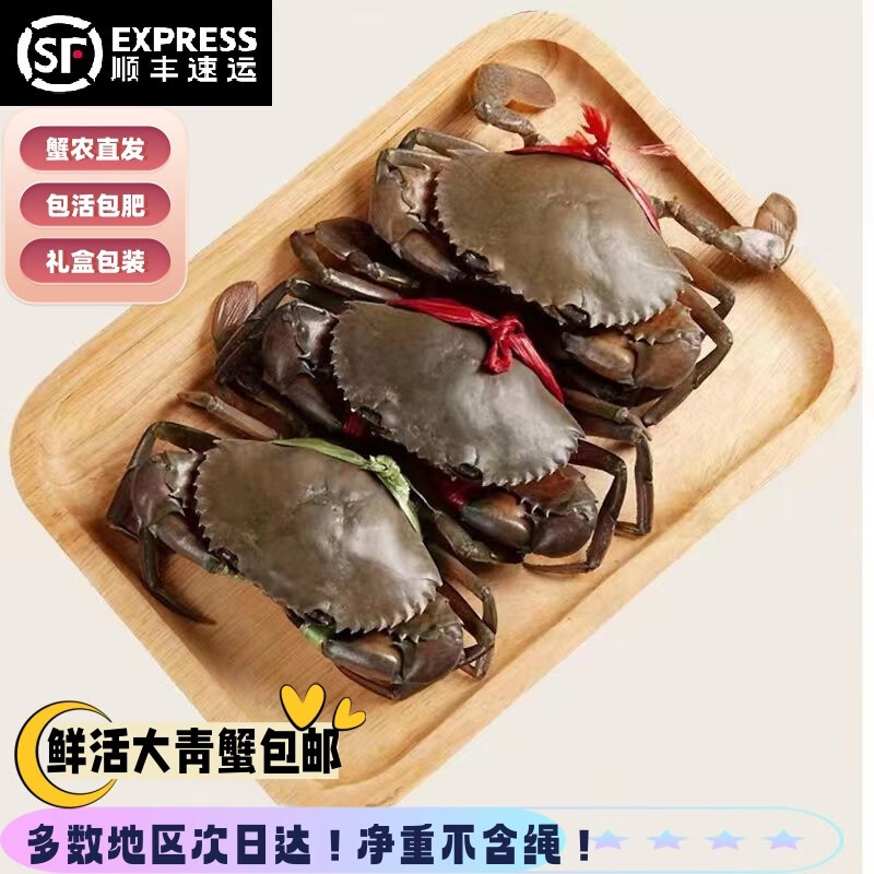 【活鲜】青蟹鲜活大红鲟蟹膏蟹菜鲟母膏蟹多规格活鲜海产【礼盒】 2斤红膏蟹（3-4只）