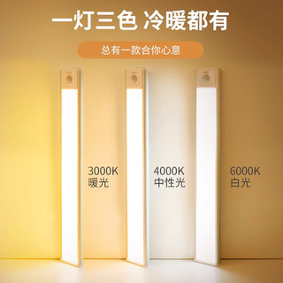 卡特加特 感应充电款带开关智慧感应灯20cm（三色款)