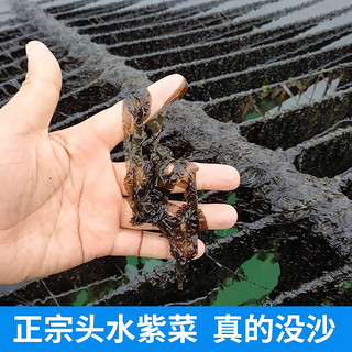 鲨鱼哥头水紫菜干货无沙蛋花汤即食零食包工头散装霞浦饭店商用500g福建 头水紫菜（500克一斤装）