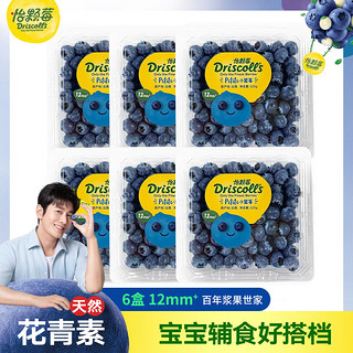 怡颗莓云南蓝莓小果6盒新鲜采摘鲜果宝宝孕妇辅食水果