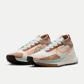 耐克（NIKE）男子防水越野跑步鞋 PEGASUS TRAIL 4 GORE-TEX FN8886-181 40.5