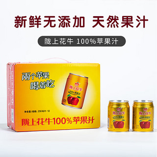 陇上花牛 甘肃特产100%花牛苹果汁饮料果醋金罐装 250ml*12罐整箱源头直发