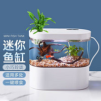 智汇 鱼缸水族箱客厅小型迷你桌面创意造景智能免换水生态玻璃金鱼缸 桌面鱼缸 高配（循环底滤+无极调光+喂食+一键换水）