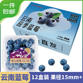 云南蓝莓 12盒 约125g/盒