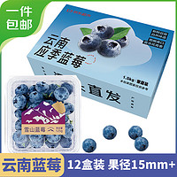 Mr.Seafood 京鲜生 云南蓝莓 12盒 约125g/盒
