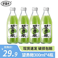 HOPE WATER 好望水 望山楂梅好果汁饮料气泡水夏季解渴碳酸汽水果汁饮料维C整箱 望勇橄