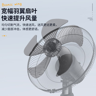 美菱 MELING（MeiLing） 电风扇家用摇头落地扇轻音电扇宿舍办公室客厅大风量循环扇 3档风速14英寸机械款