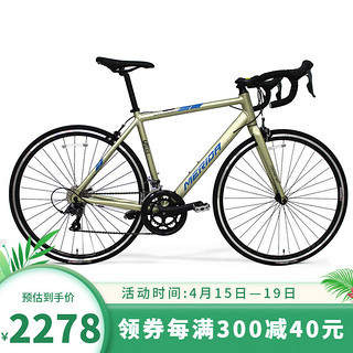 美利達（MERIDA）SHADOW幻影2  16速 公路自行车 美银金 700*50CM(身高170-180CM)