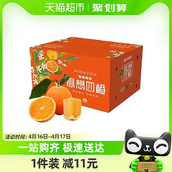 农鲜淘 秭归伦晚春橙4.5斤品质中果新鲜应季水果酸甜多汁顺丰包邮