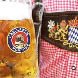 PAULANER 保拉纳 啤酒 混合口味 500ml*10瓶