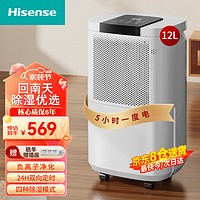 Hisense 海信 除湿机 家用抽湿机 负离子除湿器轻音抽湿器干衣净化卧室地下室吸湿器 12L/天 （适用20~60平） 负离子款