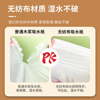 蓝赛斯 厨房生鲜吸水纸牛排三文鱼刺身鱼生专用纸 20*21cm*100片*2包