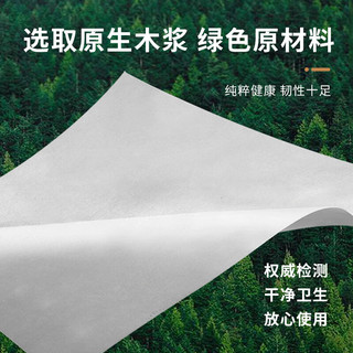 蓝赛斯 厨房生鲜吸水纸牛排三文鱼刺身鱼生专用纸 20*21cm*100片*2包