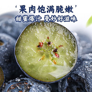 鲜程祥合 蓝莓125g*12盒   单果12-14m