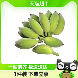 自家种植香甜小米蕉3/5斤装高山需催熟绿皮小香蕉时令新鲜水果