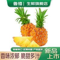 鲁禧 香水菠萝 水果新鲜 4.5-5斤