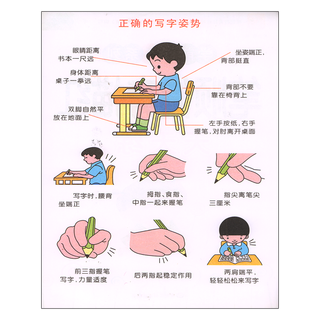  多彩幼教幼小衔接 笔顺偏旁描红天天练 大格大字保护视力 适合幼儿园和家庭使用 黑龙江美术出版社