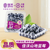 JOYVIO 佳沃 云南山地蓝莓4/8盒装   应当季新鲜蓝莓顺丰包邮