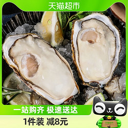 BEISILING 贝司令 鲜活乳山生蚝4XL净重4斤8-11只新鲜牡蛎海蛎子海鲜水产