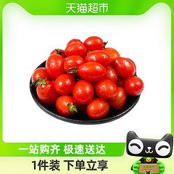 山东聊城圣女果小番茄2/3/5斤装香甜可口整箱包邮