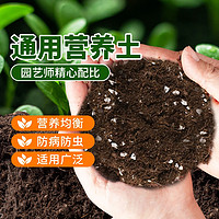 TIANWO 甜沃 营养土养花通用专用种菜土壤种植土绿植物多肉育苗家用盆栽种花土