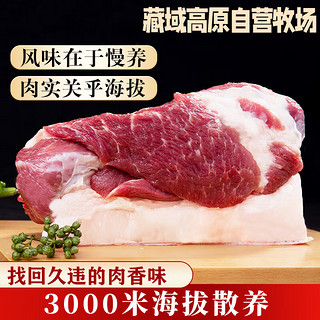 卡拉达 藏香猪腿肉500g*2 后臀尖肉红烧肉食材 黑猪肉土猪肉 源头直发