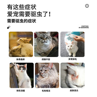 宠元宝贝 猫咪驱虫药 体内外同驱 非泼罗尼3支+芬苯达唑8片