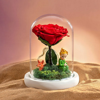 RoseBox 玫瑰盒子 小王子的玫瑰花鲜永生花礼盒母亲节520情人节生日礼物结婚送女友