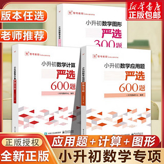 小升初数学计算严选600题+数学应用题严选600题+数学图形严选300题小学六年级数学专项训练衔接教材数学考试解题方法技巧大全 小升初数学计算严选600题