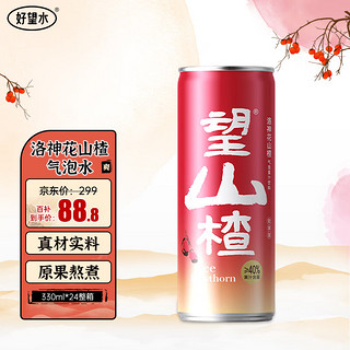 HOPE WATER 好望水 望山楂 330ml*24罐 罐装